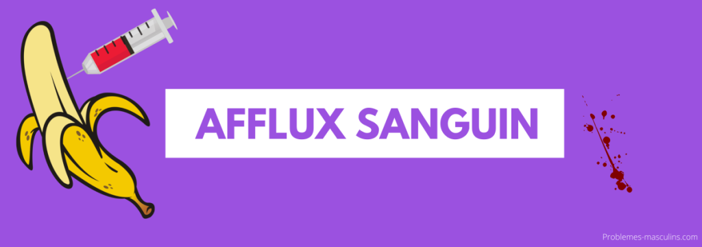 Augmenter l'afflux sanguin dans la verge