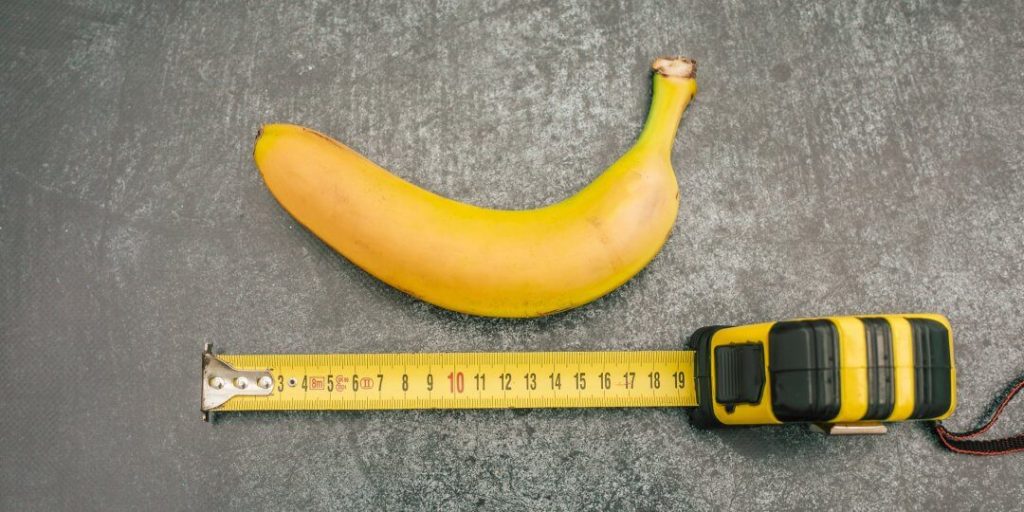 Taille moyenne du penis